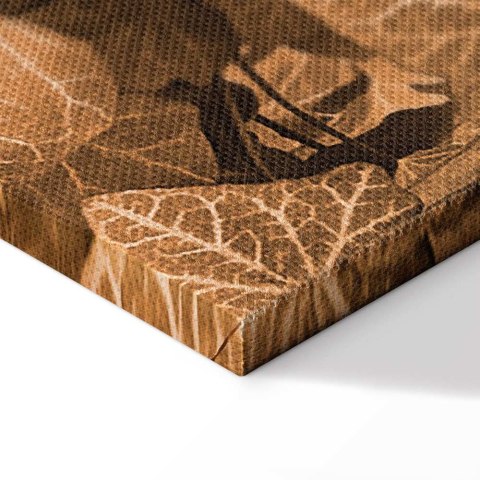 Obraz - Jesienny bluszcz (1-częściowy) pionowy 20x30 Standard
