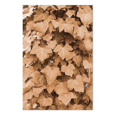 Obraz - Jesienny bluszcz (1-częściowy) pionowy 40x60 Standard