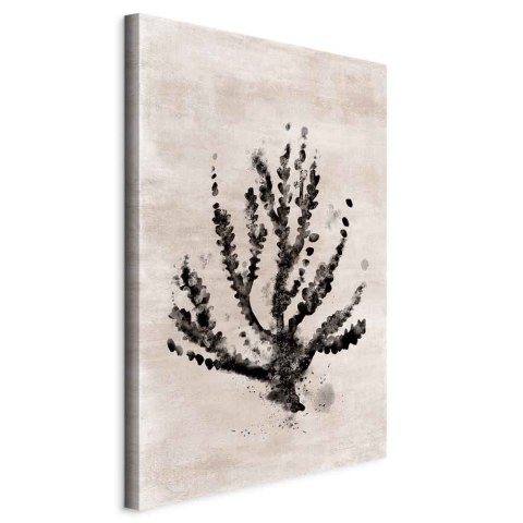 Obraz - Morska roślina (1-częściowy) pionowy 40x60 Standard