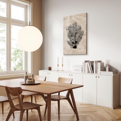 Obraz - Morski wachlarz (1-częściowy) pionowy 20x30 Premium Print