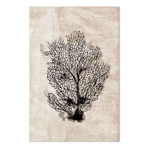 Obraz - Morski wachlarz (1-częściowy) pionowy 40x60 Na płótnie włoskim