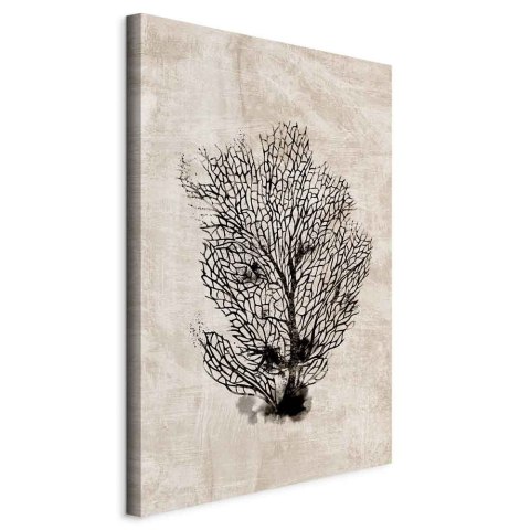 Obraz - Morski wachlarz (1-częściowy) pionowy 40x60 Standard