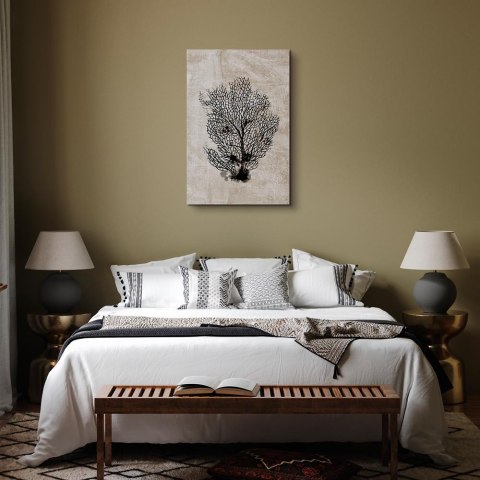 Obraz - Morski wachlarz (1-częściowy) pionowy 40x60 Standard