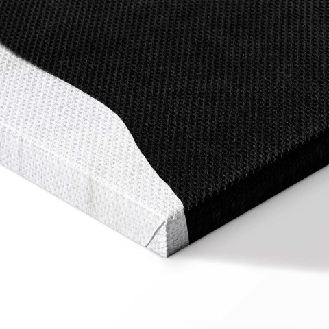 Obraz - Kwiat nocy (1-częściowy) szeroki 30x20 Standard