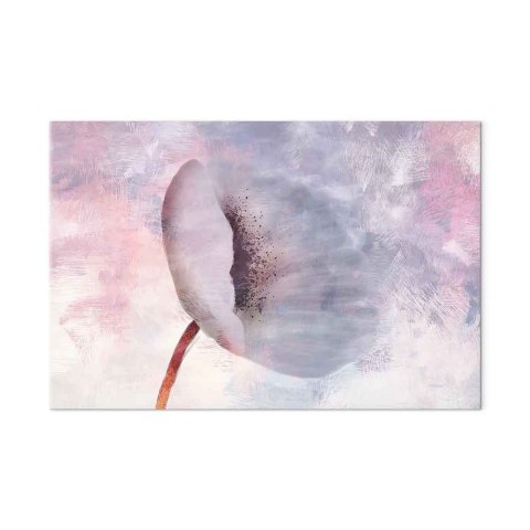 Obraz - Wietrzny kwiat (1-częściowy) szeroki 90x60 Standard