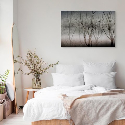 Obraz - Zapach mgły (1-częściowy) szeroki 30x20 Premium Print