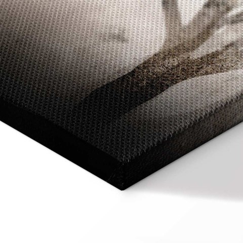 Obraz - Zapach mgły (1-częściowy) szeroki 90x60 Standard