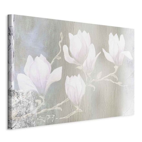 Obraz - Białe magnolie (1-częściowy) szeroki 30x20 Na płótnie włoskim