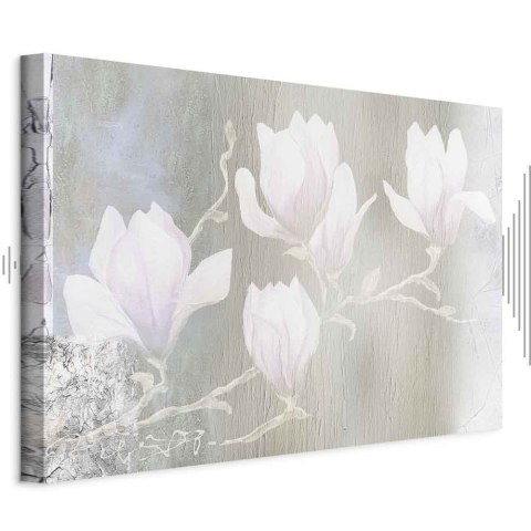 Obraz - Białe magnolie (1-częściowy) szeroki 30x20 Akustyczny