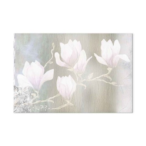 Obraz - Białe magnolie (1-częściowy) szeroki 30x20 Akustyczny