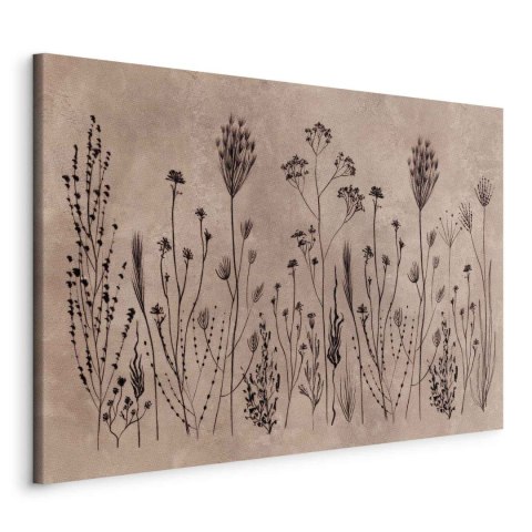 Obraz - Polne kwiaty - czarne rośliny na tle w technice lime wash 30x20 Na płótnie włoskim