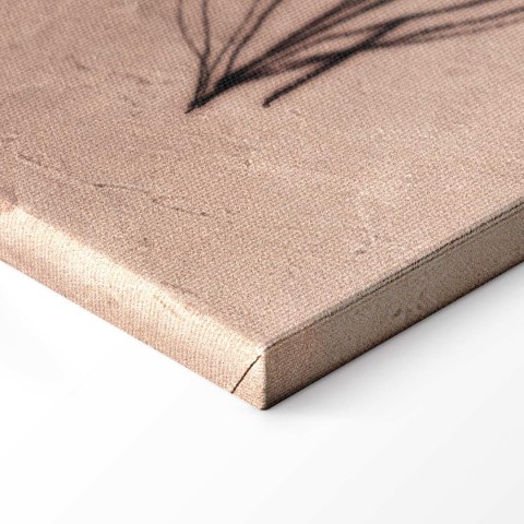 Obraz - Polne kwiaty - czarne rośliny na tle w technice lime wash 60x40 Na płótnie włoskim
