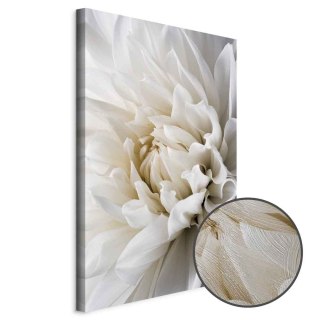 Obraz - Biała dalia 20x30 Premium Print