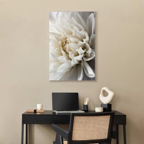 Obraz - Biała dalia 20x30 Standard