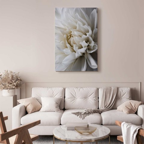 Obraz - Biała dalia 40x60 Standard