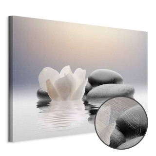 Obraz - Ogród spokoju 60x40 Premium Print