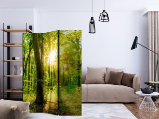 Parawan - Promienie lasu 135x172 Dwustronny