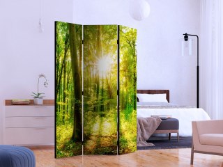 Parawan - Promienie lasu 135x172 Jednostronny