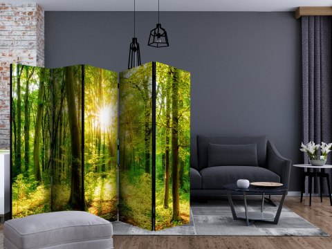 Parawan - Promienie lasu II 225x172 Akustyczny