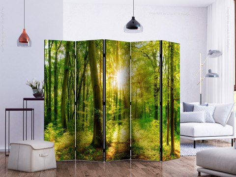 Parawan - Promienie lasu II 225x172 Akustyczny