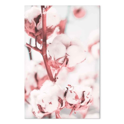Obraz - Bawełna w rozkwicie (1-częściowy) pionowy 20x30 Premium Print