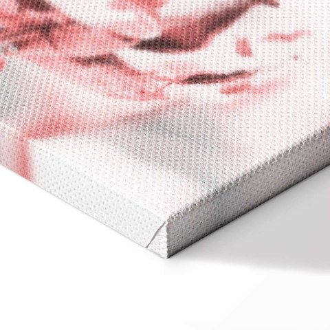 Obraz - Bawełna w rozkwicie (1-częściowy) pionowy 20x30 Standard