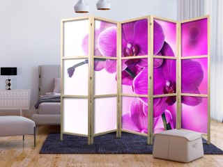 Parawan japoński - Fioletowe orchidee II 225x172