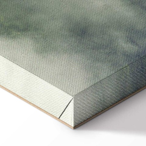 Obraz - Mglista Amazonia (1-częściowy) pionowy 20x30 Akustyczny