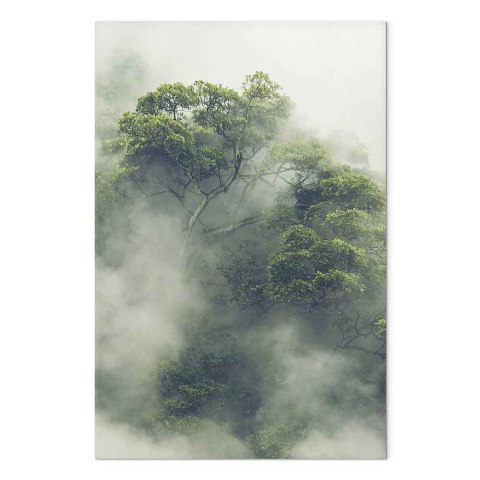 Obraz - Mglista Amazonia (1-częściowy) pionowy 20x30 Na płótnie włoskim
