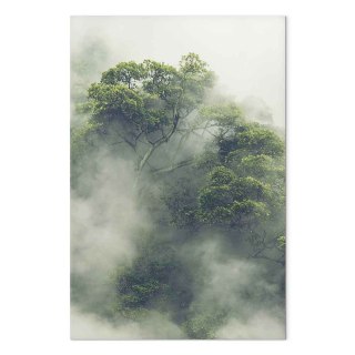 Obraz - Mglista Amazonia (1-częściowy) pionowy 40x60 Premium Print