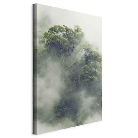Obraz - Mglista Amazonia (1-częściowy) pionowy 60x90 Na płótnie włoskim