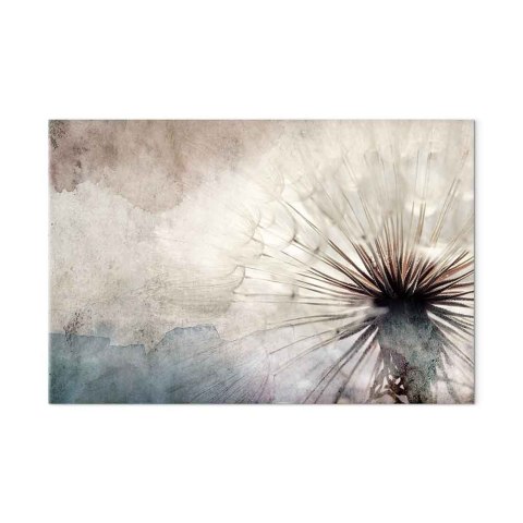 Obraz - Dmuchawce w chmurach (1-częściowy) szeroki 60x40 Standard