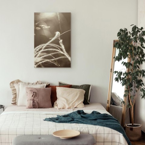 Obraz - Puszysta trawa (1-częściowy) pionowy 40x60 Standard