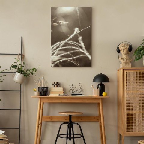Obraz - Puszysta trawa (1-częściowy) pionowy 40x60 Standard