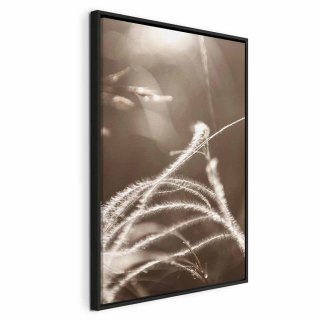 Obraz - Puszysta trawa (1-częściowy) pionowy 60x90 W ramie drewnianej czarnej