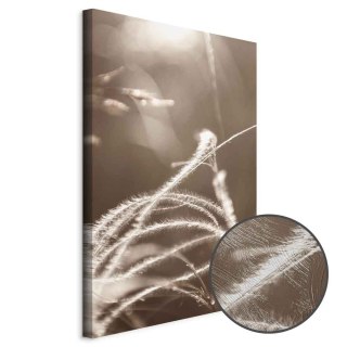 Obraz - Puszysta trawa (1-częściowy) pionowy 80x120 Premium Print
