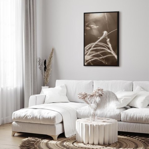Obraz - Puszysta trawa (1-częściowy) pionowy 80x120 W ramie drewnianej czarnej