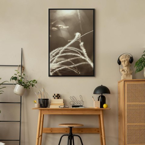 Obraz - Puszysta trawa (1-częściowy) pionowy 80x120 W ramie drewnianej czarnej