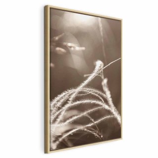 Obraz - Puszysta trawa (1-częściowy) pionowy 80x120 W ramie drewnianej naturalnej