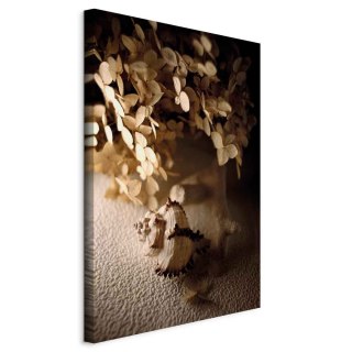 Obraz - Szumiąca muszla (1-częściowy) pionowy 20x30 Standard