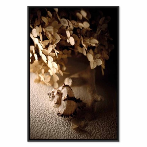 Obraz - Szumiąca muszla (1-częściowy) pionowy 60x90 W ramie drewnianej czarnej
