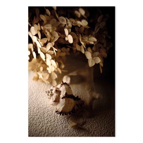 Obraz - Szumiąca muszla (1-częściowy) pionowy 80x120 Standard