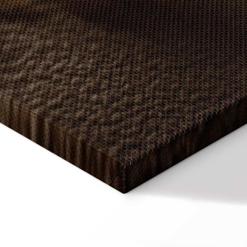 Obraz - Szumiąca muszla (1-częściowy) pionowy 80x120 Standard
