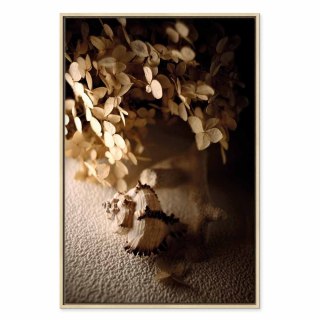 Obraz - Szumiąca muszla (1-częściowy) pionowy 80x120 W ramie drewnianej naturalnej