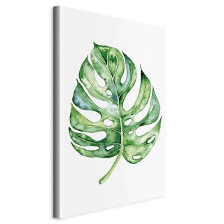 Obraz - Akwarelowa monstera (1-częściowy) pionowy 20x30 Na płótnie włoskim