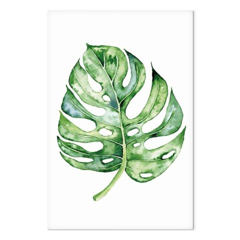 Obraz - Akwarelowa monstera (1-częściowy) pionowy 20x30 Premium Print