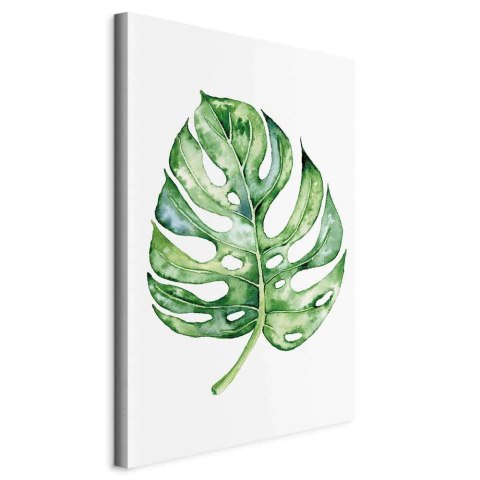 Obraz - Akwarelowa monstera (1-częściowy) pionowy 20x30 Standard