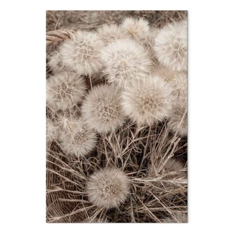 Obraz - Delikatne grono (1-częściowy) pionowy 20x30 Akustyczny