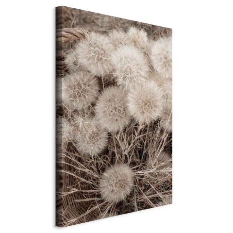 Obraz - Delikatne grono (1-częściowy) pionowy 40x60 Standard