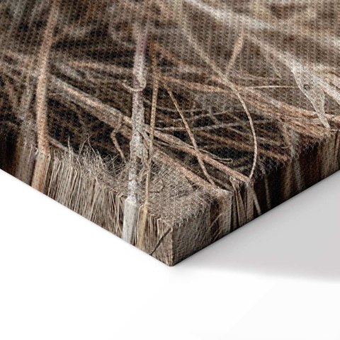Obraz - Delikatne grono (1-częściowy) pionowy 40x60 Standard